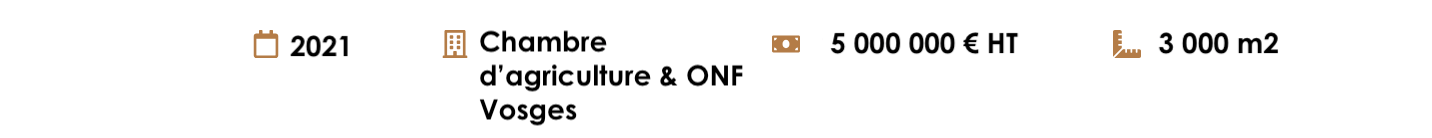 Capture d’écran 2026-02-18 à 14.19.25